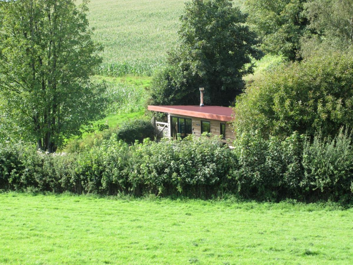Stargazing Retreat Villa Merton  Exteriör bild